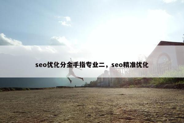 seo优化分金手指专业二，seo精准优化