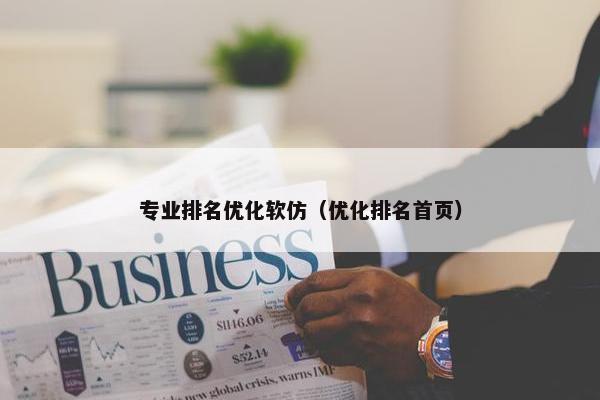 专业排名优化软仿（优化排名首页）