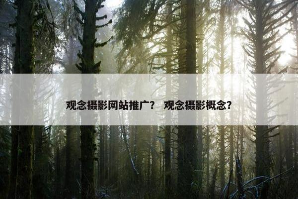 观念摄影网站推广？ 观念摄影概念？