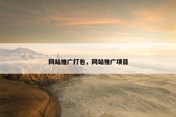 网站推广打包，网站推广项目