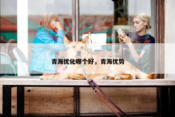 青海优化哪个好，青海优势