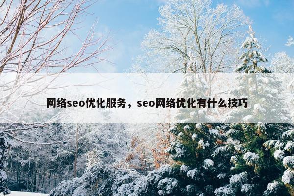 网络seo优化服务，seo网络优化有什么技巧
