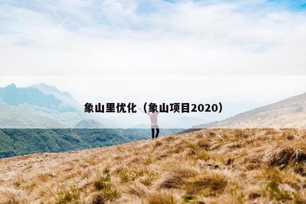 象山里优化（象山项目2020）