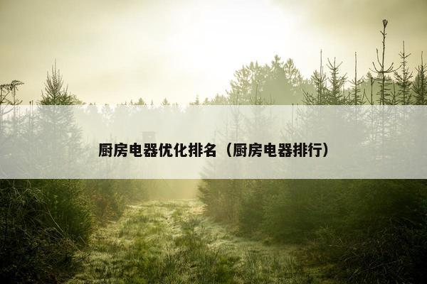 厨房电器优化排名（厨房电器排行）