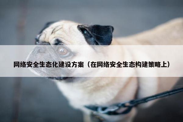 网络安全生态化建设方案（在网络安全生态构建策略上）