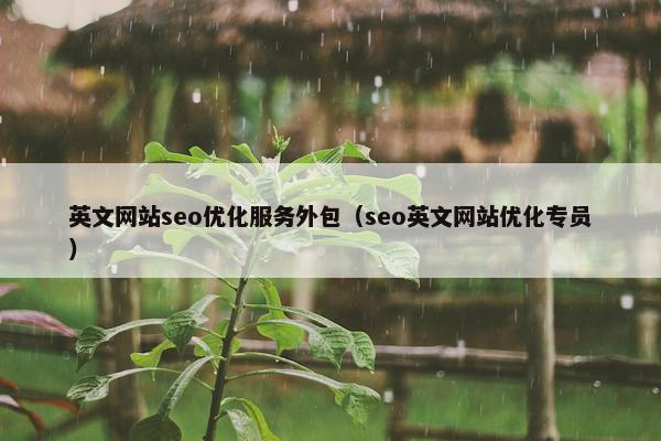 英文网站seo优化服务外包（seo英文网站优化专员）