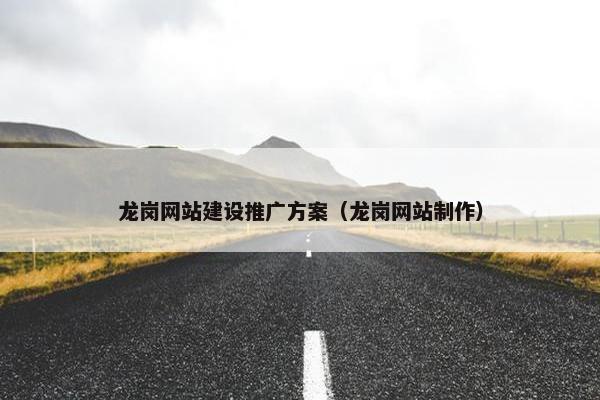 龙岗网站建设推广方案（龙岗网站制作）