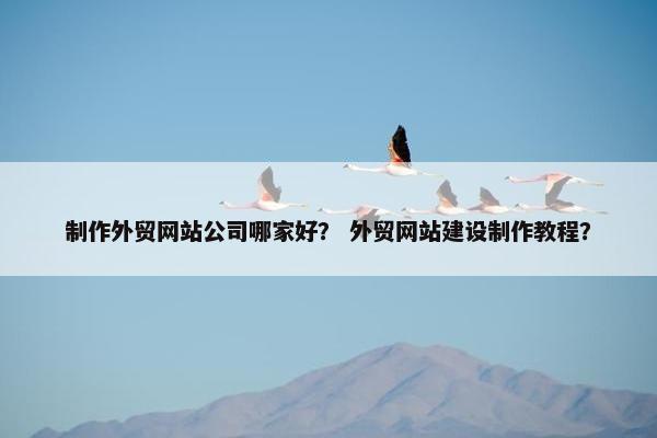 制作外贸网站公司哪家好？ 外贸网站建设制作教程？