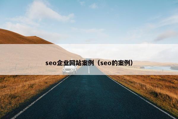 seo企业网站案例（seo的案例）