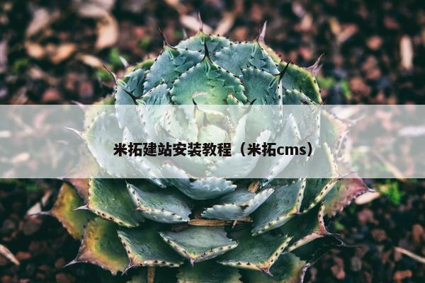 米拓建站安装教程（米拓cms）
