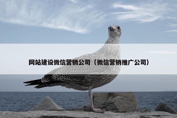 网站建设微信营销公司（微信营销推广公司）