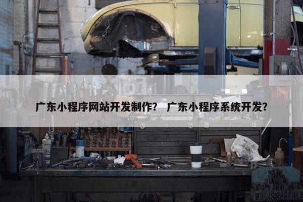 广东小程序网站开发制作？ 广东小程序系统开发？