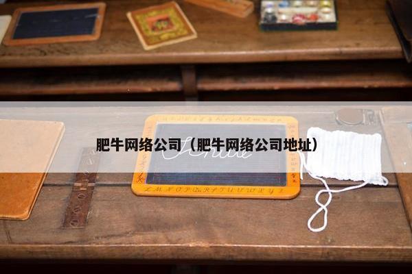 肥牛网络公司（肥牛网络公司地址）