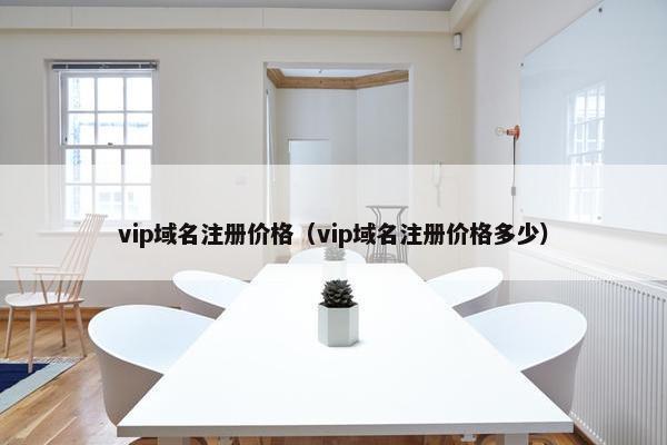 vip域名注册价格（vip域名注册价格多少）