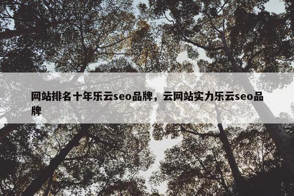 网站排名十年乐云seo品牌，云网站实力乐云seo品牌