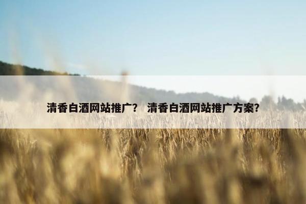 清香白酒网站推广？ 清香白酒网站推广方案？