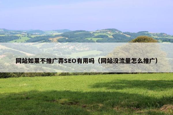 网站如果不推广弄SEO有用吗（网站没流量怎么推广）