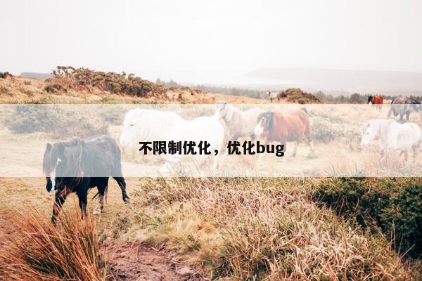 不限制优化，优化bug