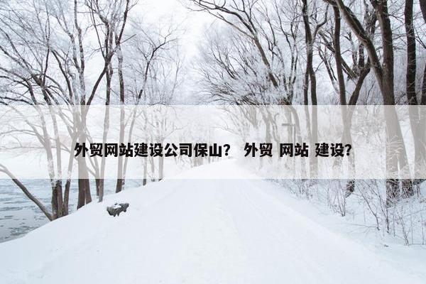 外贸网站建设公司保山？ 外贸 网站 建设？