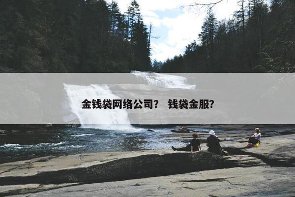 金钱袋网络公司？ 钱袋金服？