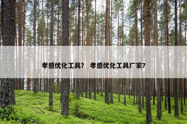 孝感优化工具？ 孝感优化工具厂家？