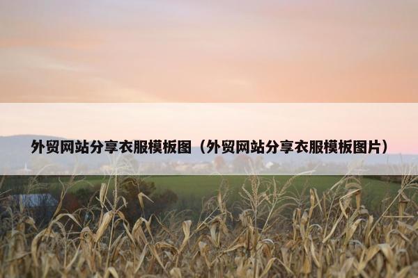 外贸网站分享衣服模板图（外贸网站分享衣服模板图片）