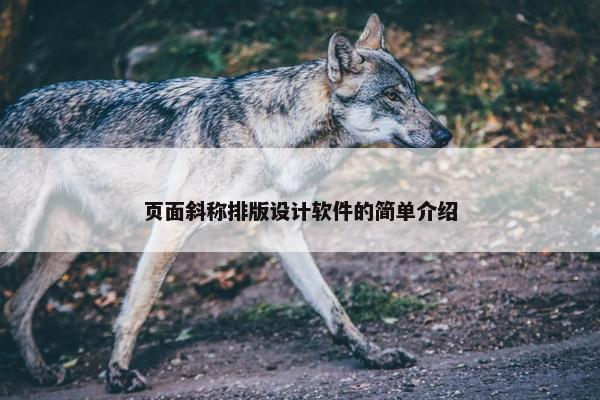 页面斜称排版设计软件的简单介绍