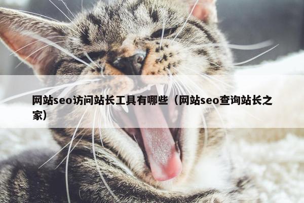 网站seo访问站长工具有哪些（网站seo查询站长之家）