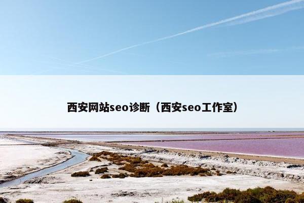西安网站seo诊断（西安seo工作室）