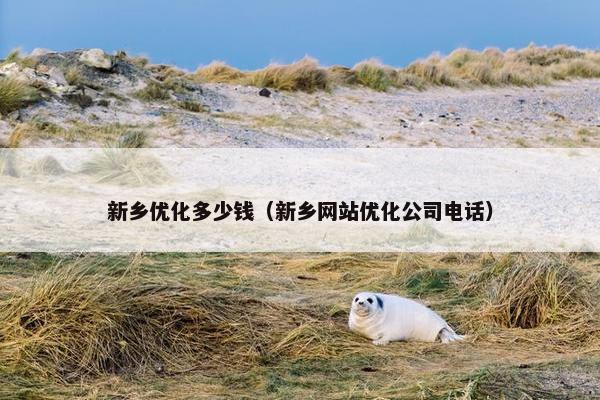 新乡优化多少钱（新乡网站优化公司电话）