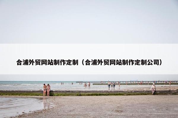合浦外贸网站制作定制（合浦外贸网站制作定制公司）