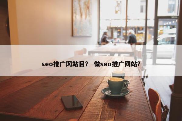 seo推广网站目？ 做seo推广网站？