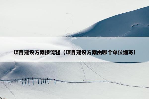 项目建设方案接流程（项目建设方案由哪个单位编写）