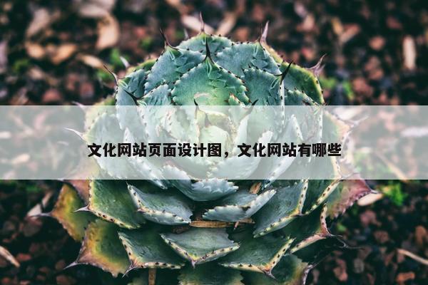 文化网站页面设计图，文化网站有哪些