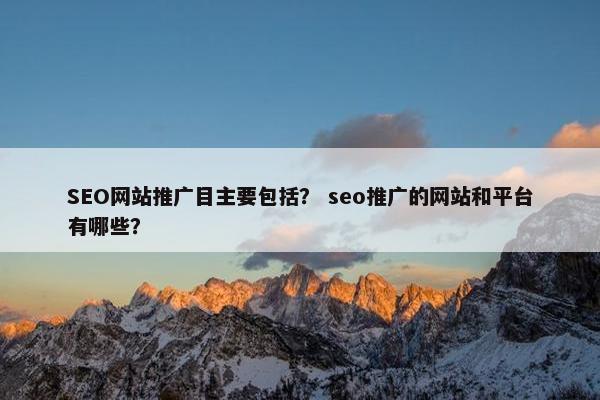 SEO网站推广目主要包括？ seo推广的网站和平台有哪些？