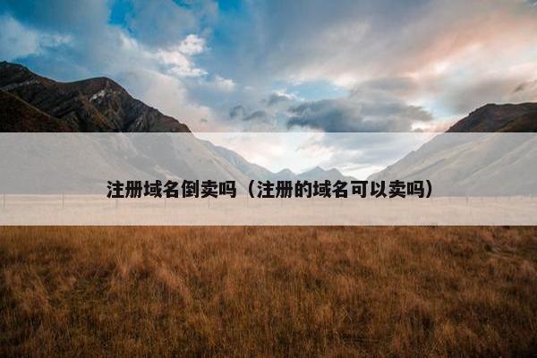 注册域名倒卖吗（注册的域名可以卖吗）