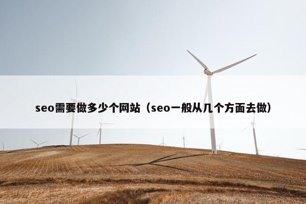 seo需要做多少个网站（seo一般从几个方面去做）