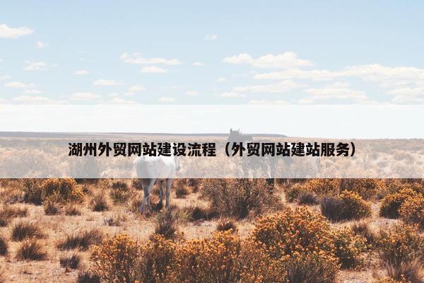 湖州外贸网站建设流程（外贸网站建站服务）