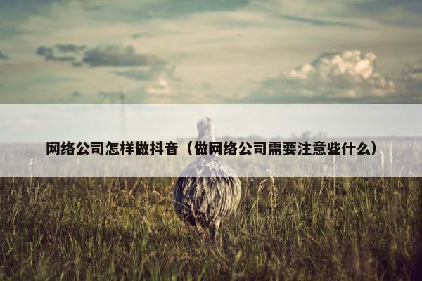 网络公司怎样做抖音（做网络公司需要注意些什么）