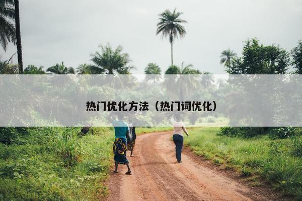 热门优化方法（热门词优化）