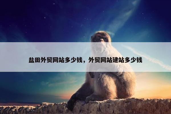 盐田外贸网站多少钱，外贸网站建站多少钱