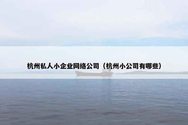 杭州私人小企业网络公司（杭州小公司有哪些）