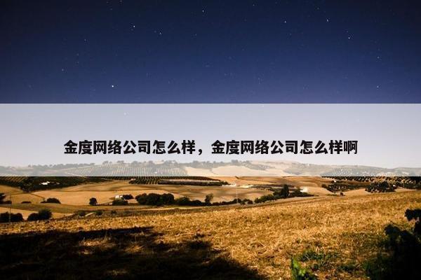 金度网络公司怎么样，金度网络公司怎么样啊