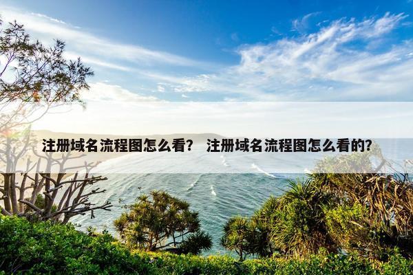 注册域名流程图怎么看？ 注册域名流程图怎么看的？