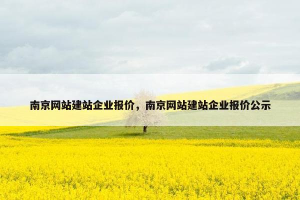 南京网站建站企业报价，南京网站建站企业报价公示