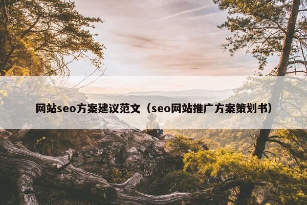 网站seo方案建议范文（seo网站推广方案策划书）