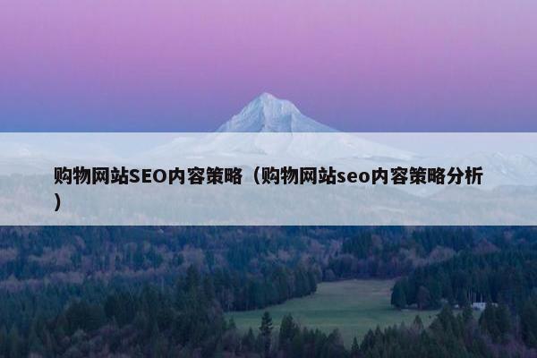 购物网站SEO内容策略（购物网站seo内容策略分析）
