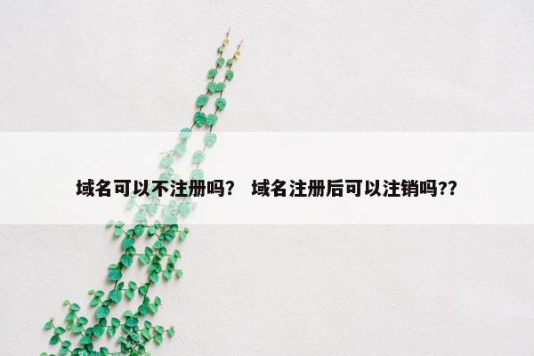 域名可以不注册吗？ 域名注册后可以注销吗?？