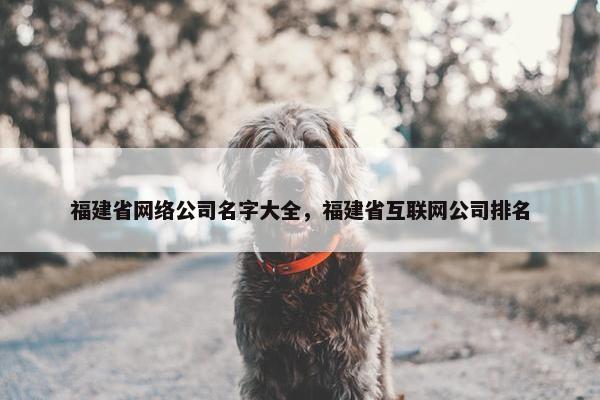 福建省网络公司名字大全，福建省互联网公司排名