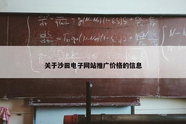 关于沙田电子网站推广价格的信息